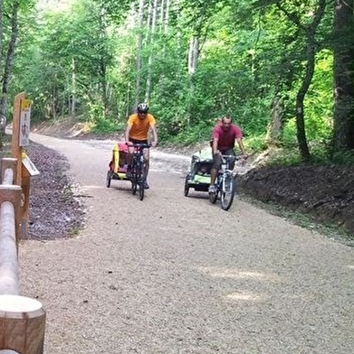 Parcours VTT 4 bleu - Le forêt de Rothonne - Espace FFC Ain Forestière