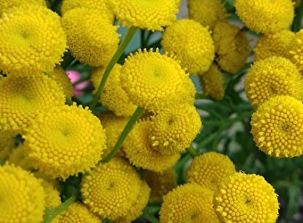 Photos nature pour accros -