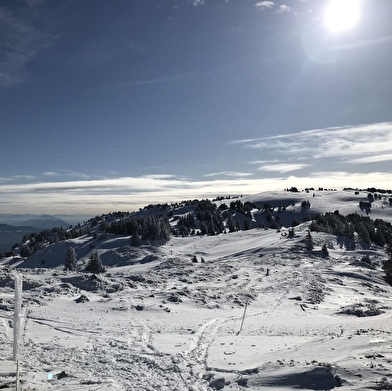 Sentier raquettes : du Télécabine du Fierney au Crêt de la Neige
