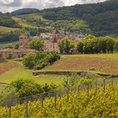 Circuit coup de cœur - Paysages de vignes 
