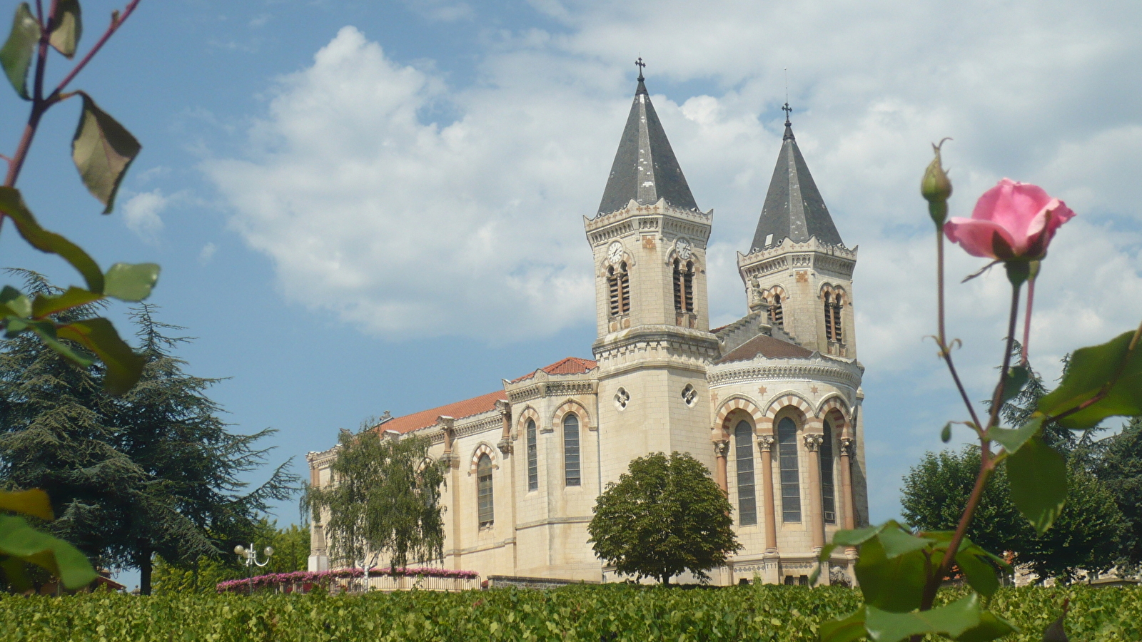 Circuit Vignes et sous bois