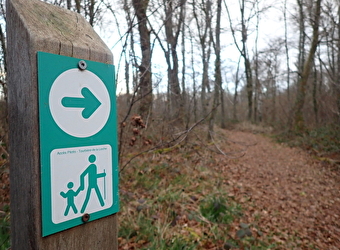 Réserve naturelle nationale de La Truchère-Ratenelle - LA TRUCHERE