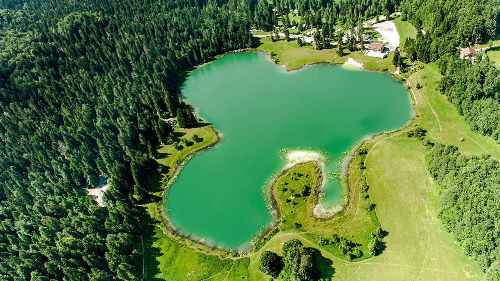 Balade - La tourbière du lac Genin