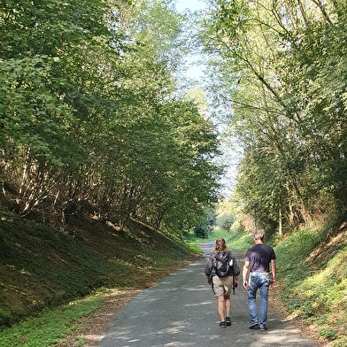 Circuit randonnée : Au bois rond
