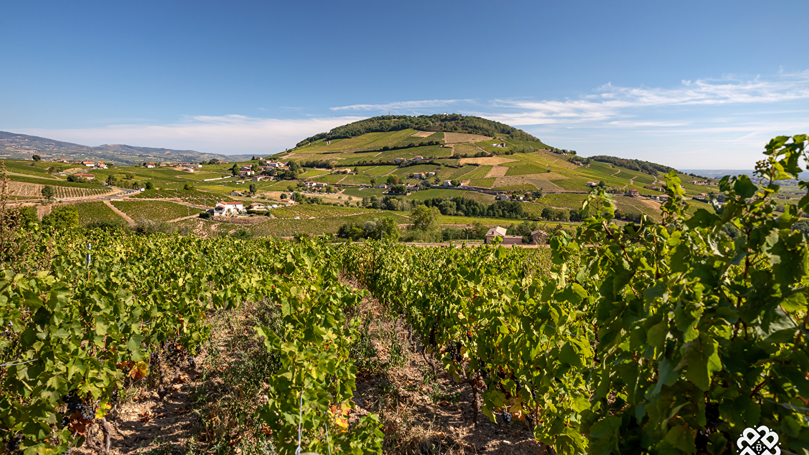 Circuit Brouilly