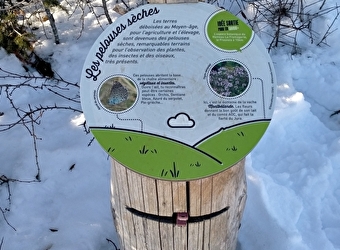 Parcours Géobaliz - SAINT-LAURENT-EN-GRANDVAUX