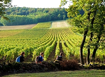 Viré, la montagne et son vignoble - VIRE