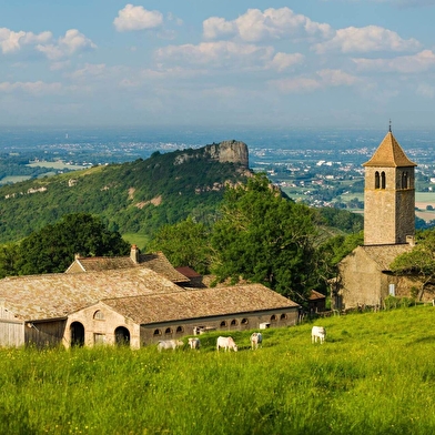 Escapade Nature au cœur du Grand Site de France Solutré Pouilly Vergisson