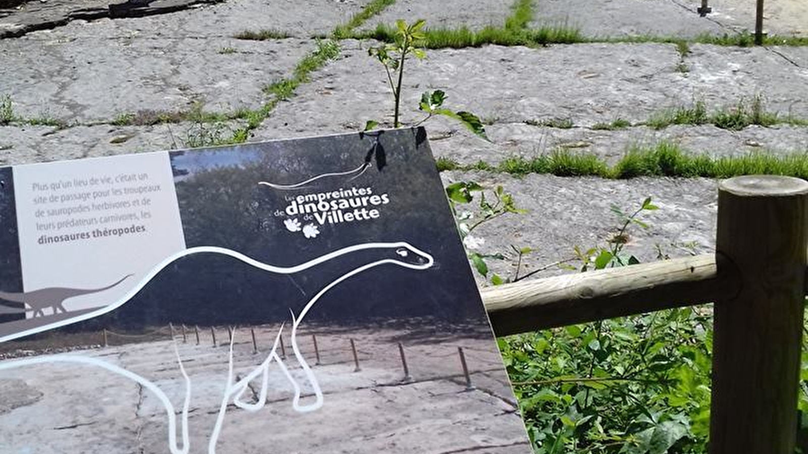 Les chemins des dinosaures de Villette - Balade géologique sur les falaises de Bérranger