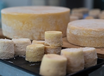Fromage, produits locaux - 