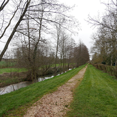 La Croisée des Bois