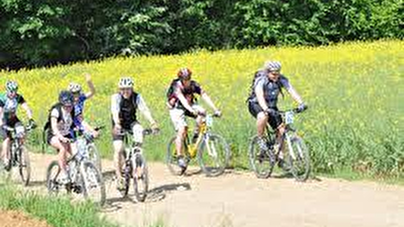 VTT dans les Monts de Gy : Circuit 57 'La ferme de Courbey'