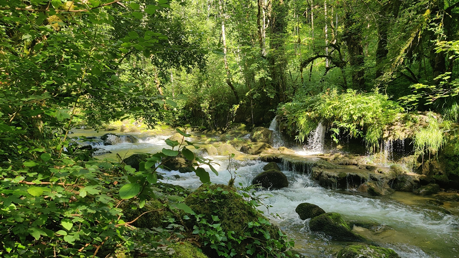 Sentier 'au fil de l'eau' (version longue)