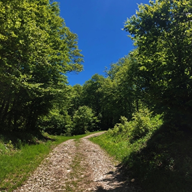 Grandes Traversées du Jura (GTJ) : Itinéraire VTT de Mandeure à Culoz via La Praille sur le Plateau d'Hauteville