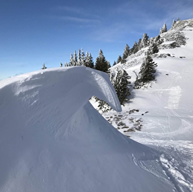 Sentier raquettes : de la Catheline au Crêt de la Neige