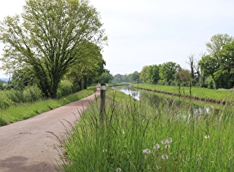  Circuit de randonnée Entre Loire et Canal - LUTHENAY-UXELOUP