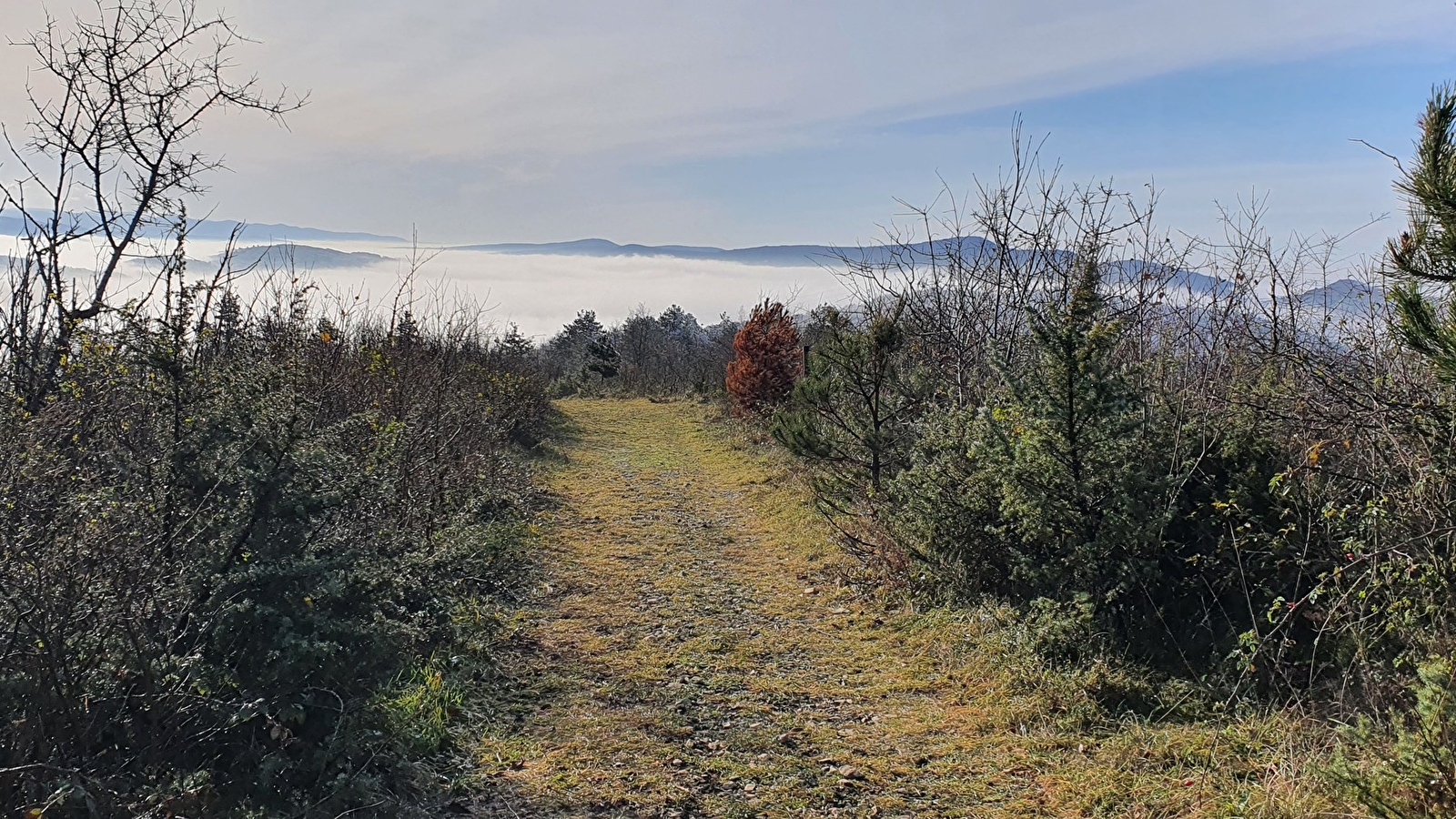 Randonnée - Belvédère du Mont de Grillerin