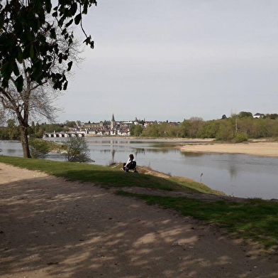 Du canal au vieux chêne