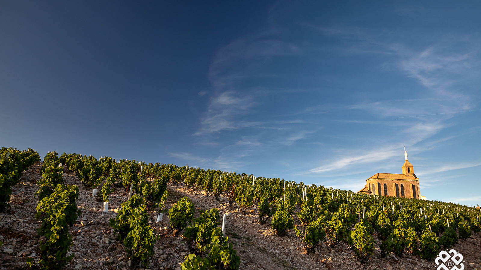 Circuit Entre vignes et bois