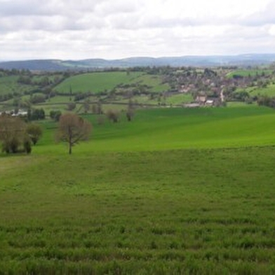 Circuit VTT n° 3 Vert  de Varzy