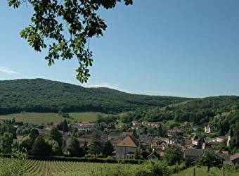 Sur les sentiers du Sud Bourgogne - De Tournus à Lugny - TOURNUS