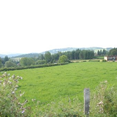 Circuit des Bruyères