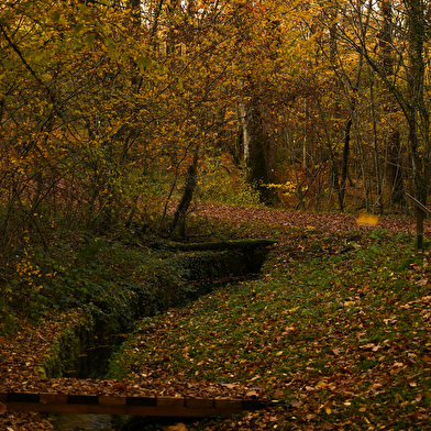 Les moulins de Champvoux