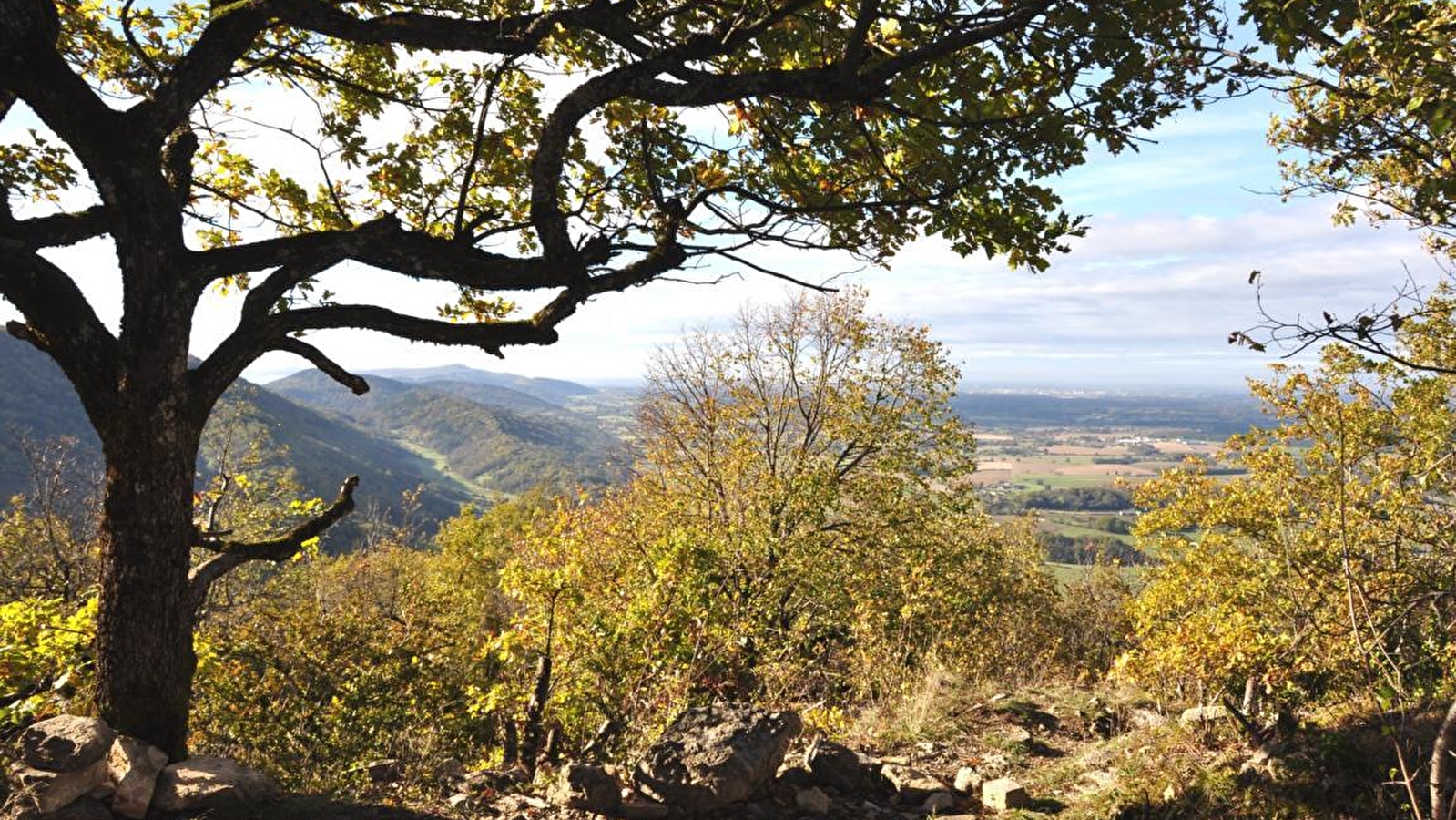 Château de Montfort, éperon barré celte ou site médiéval