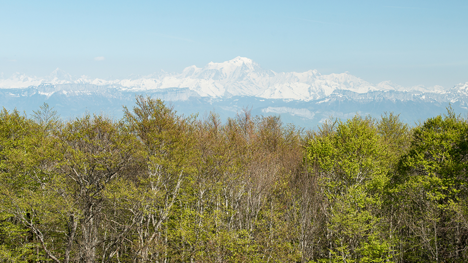 Randonnée pédestre - La Montée de Sur-Lyand