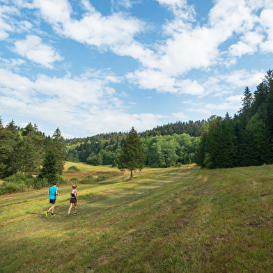 La Gi J'Y Monte - Parcours de trail n°24