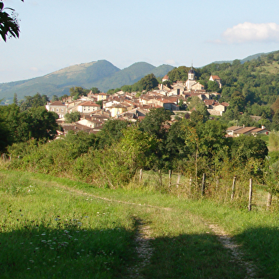 Circuit VTT n°3 (bleu) - Treffort, la médiévale