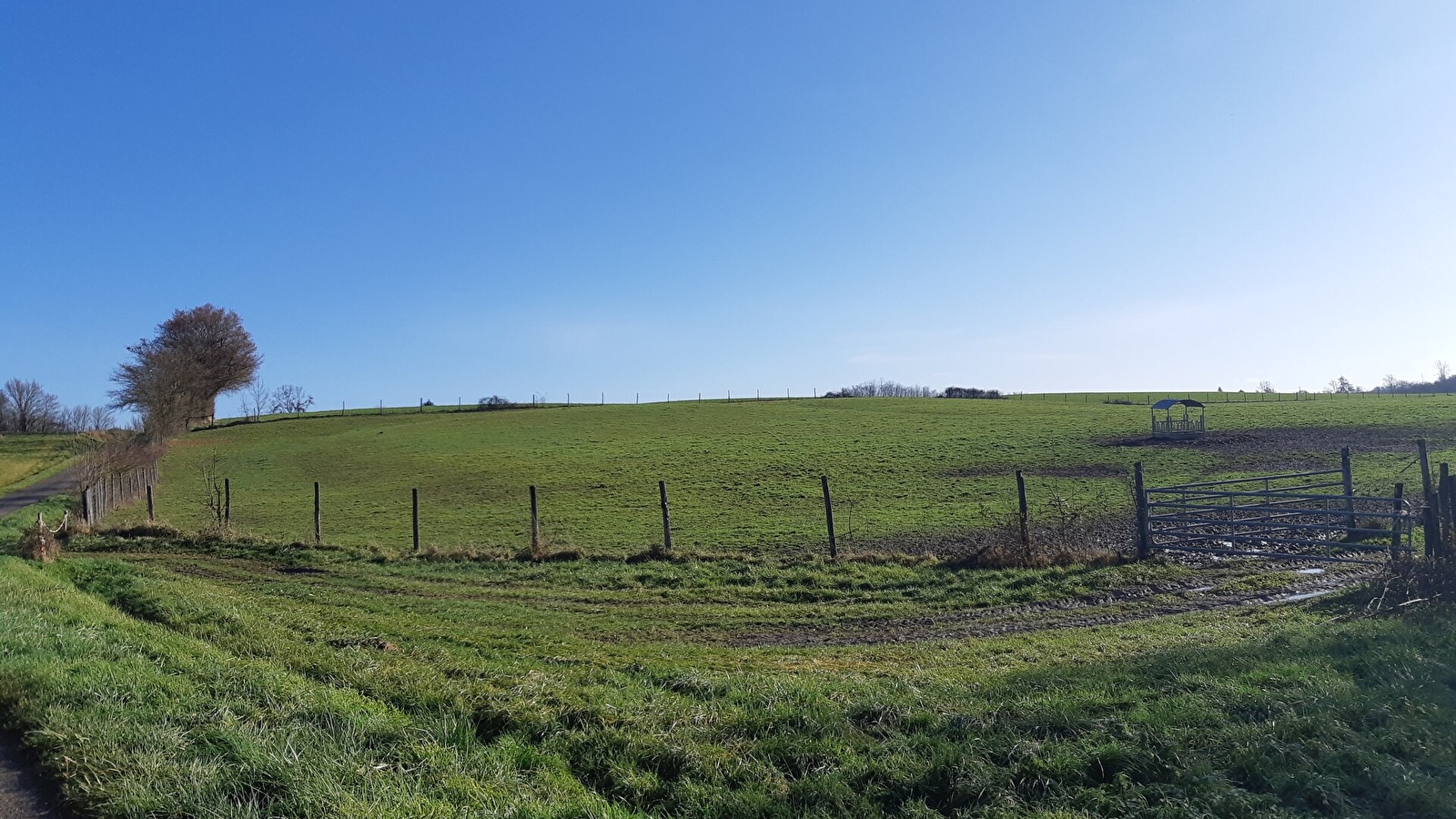 Sur les chemins de St Sulpice et St Didier d'Aussiat
