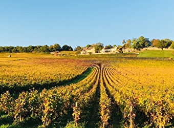 Balade du soir en automne - 