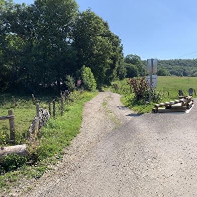 Randonnée - Forêt de la ravière et de Jailloux