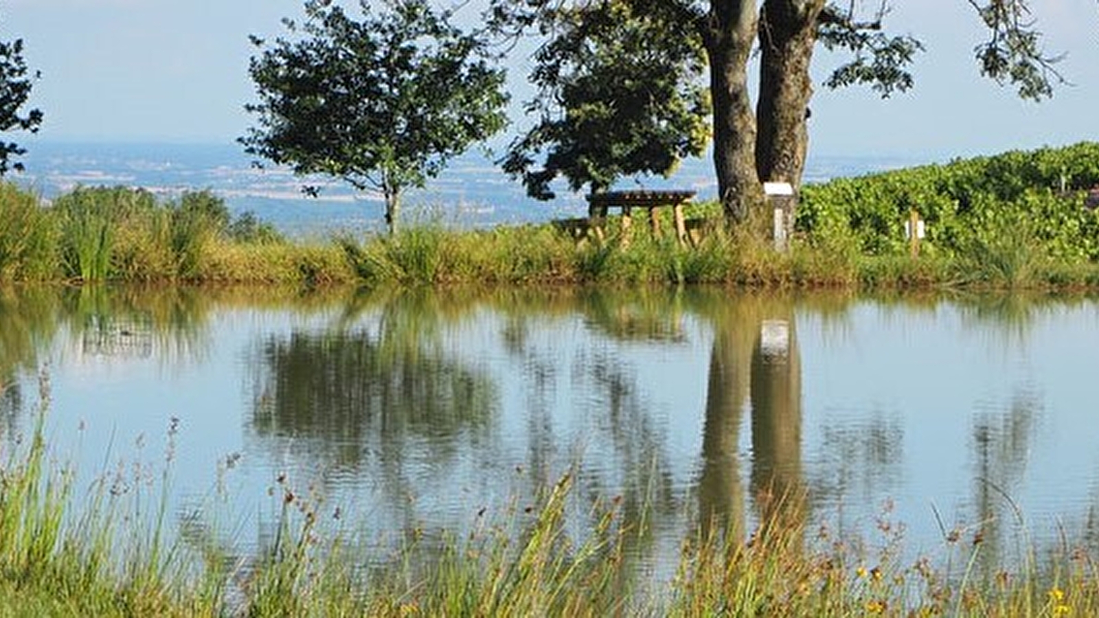 Balade de l'étang de la Carelle