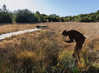 Vers les bois du Folin  - SAINT-LEGER-SOUS-BEUVRAY