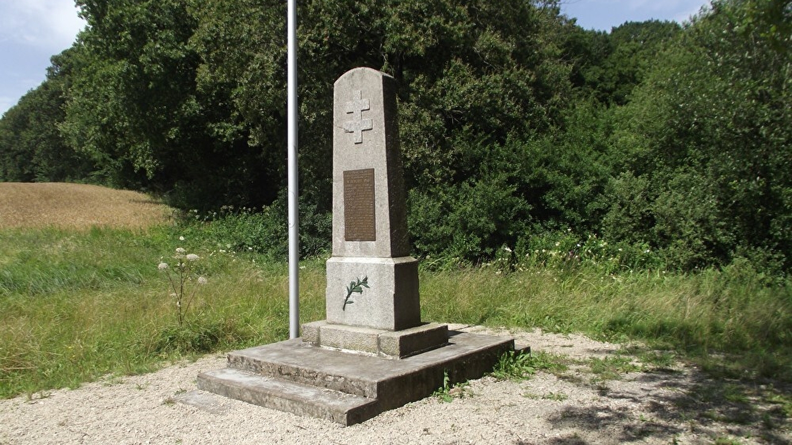 La balade des champs cerisiers