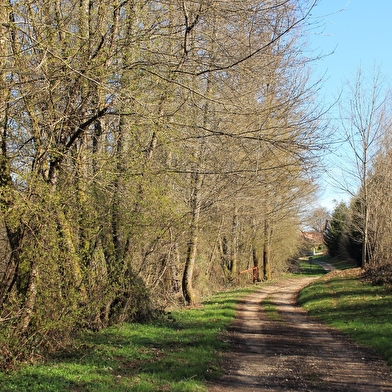 Circuit à la découverte de Fontaine