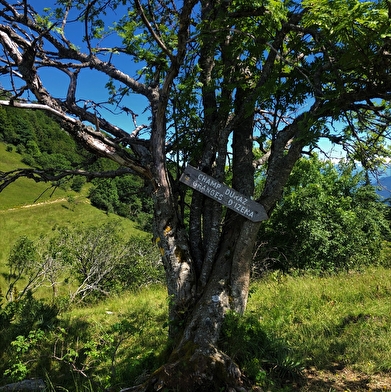 Kilomètre Vertical du Grand Colombier : Chanduraz depuis Béon