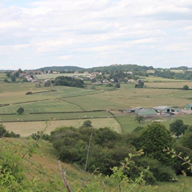 Une ville à la campagne