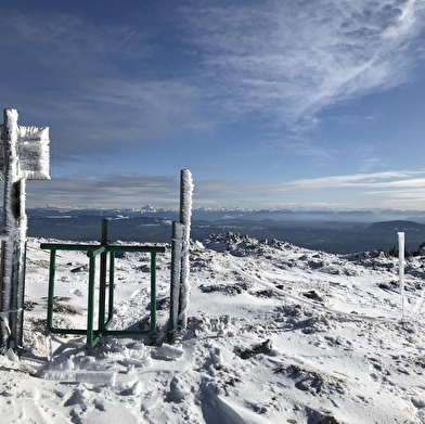 Sentier raquettes : de la Catheline au Crêt de la Neige