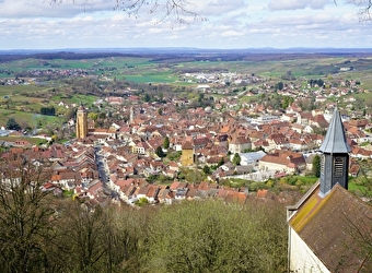 Une vue imprenable sur Arbois -