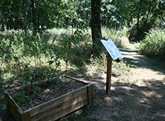 Sentier sensoriel de l'île de Caqueret - DECIZE (58300)