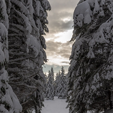 Sentier raquettes de la Faucille au Turet