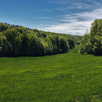 Parcours VTT 13 rouge - Le sud du Plateau de Retord - Espace FFC Ain Forestière