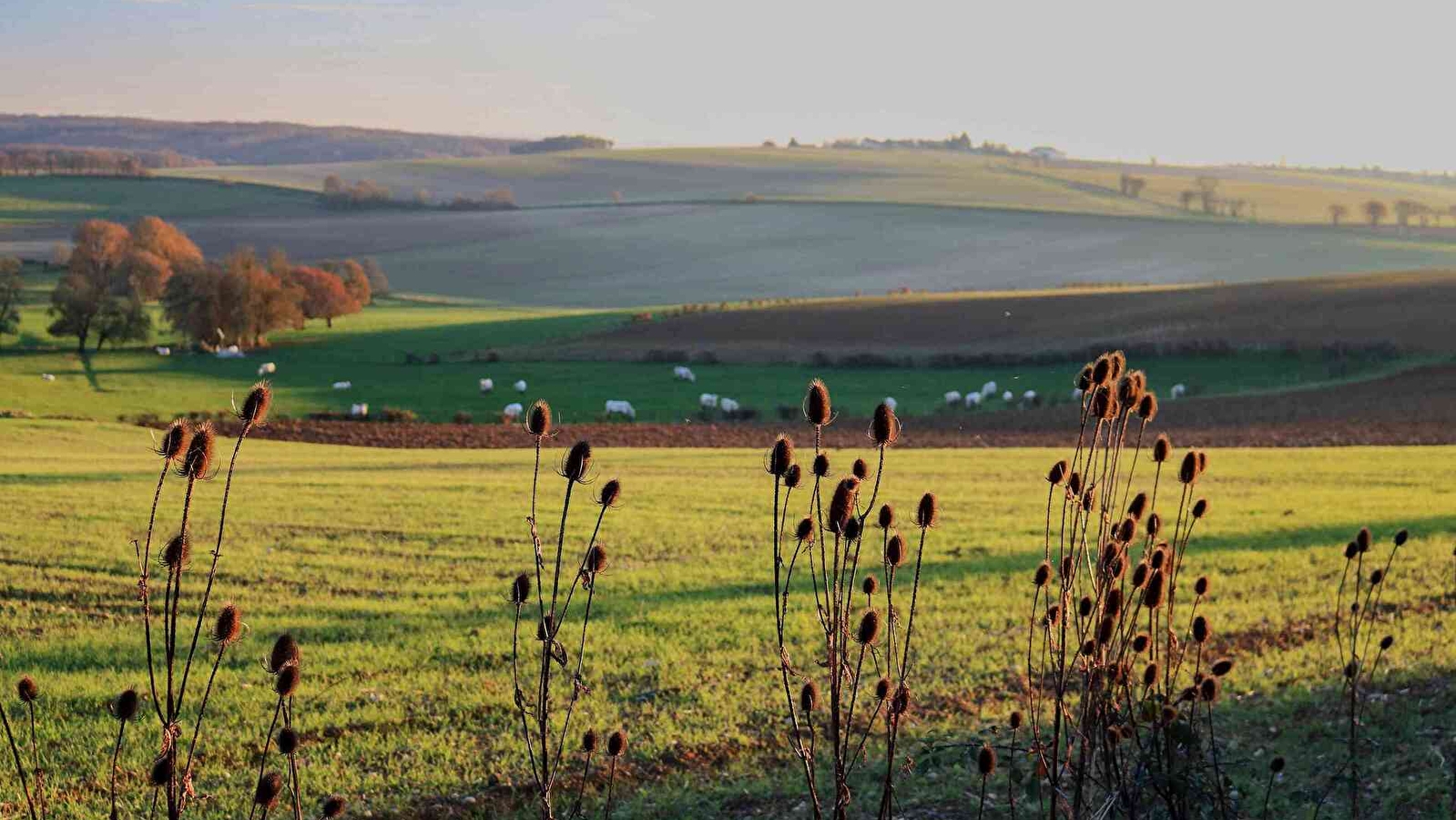 Circuit panoramique au départ de Bouhy