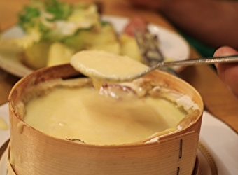 La ferme en direct - 