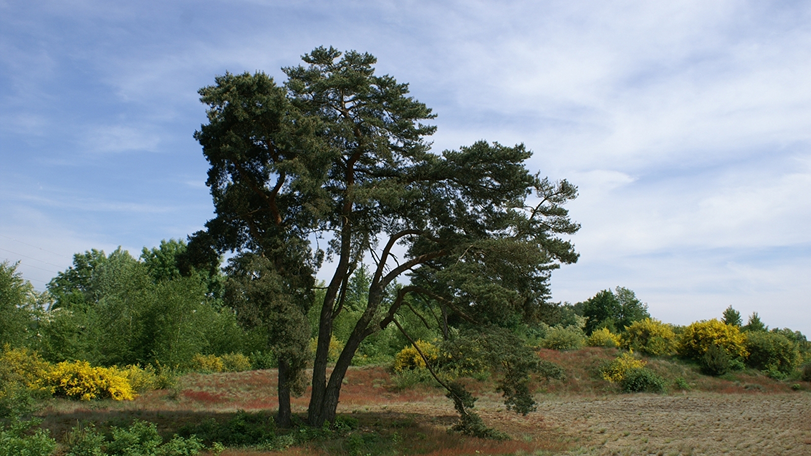 Circuit randonnée : Des Charmes