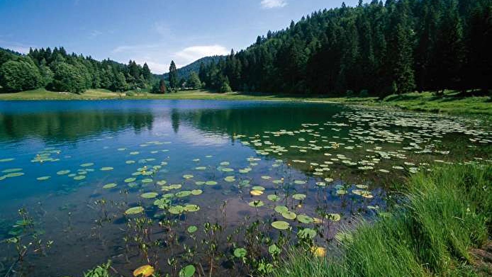 Randonnée - Le lac Genin