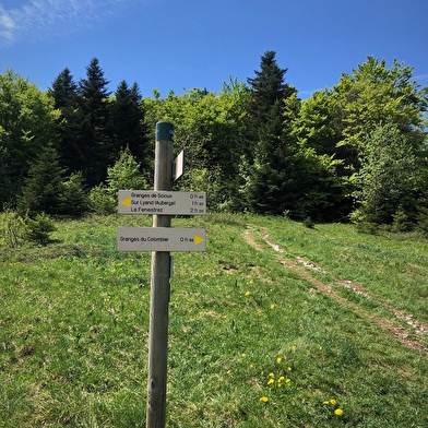 Parcours trail des Crêtes de Sur Lyand